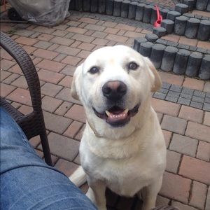 Meet your Posher, Jerry